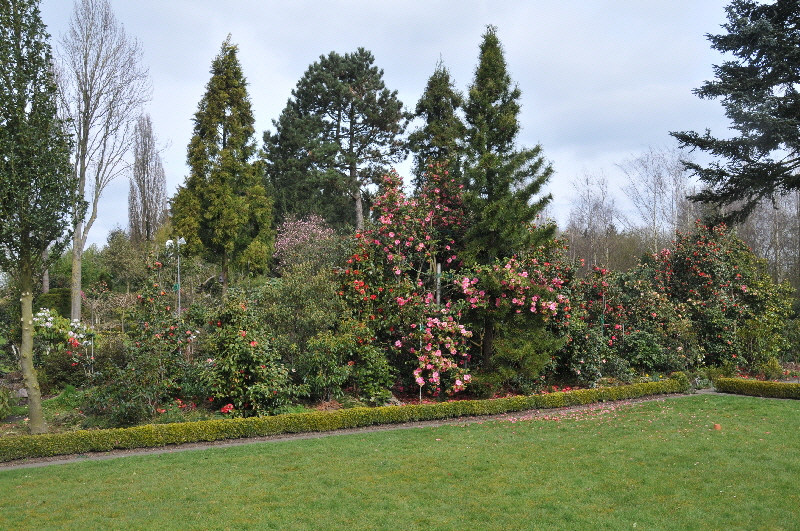 DSC_5798 DSC_5798