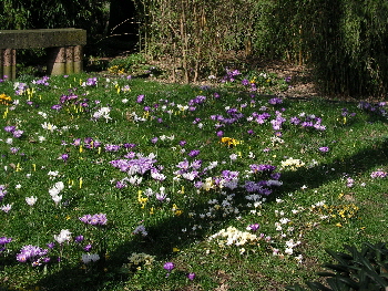 2009-02-18-14-04-54---P2180125