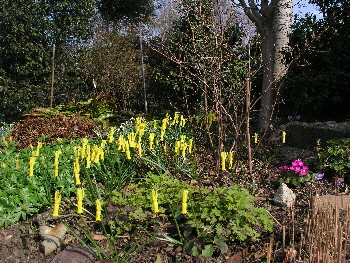 2009-02-18-14-06-48---P2180134