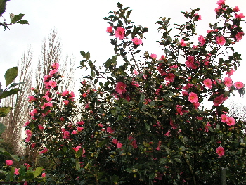 P1300674