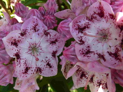 P1000778 (2015_12_27 14_09_31 UTC)1