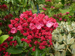 P1050260