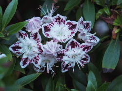 P5280020