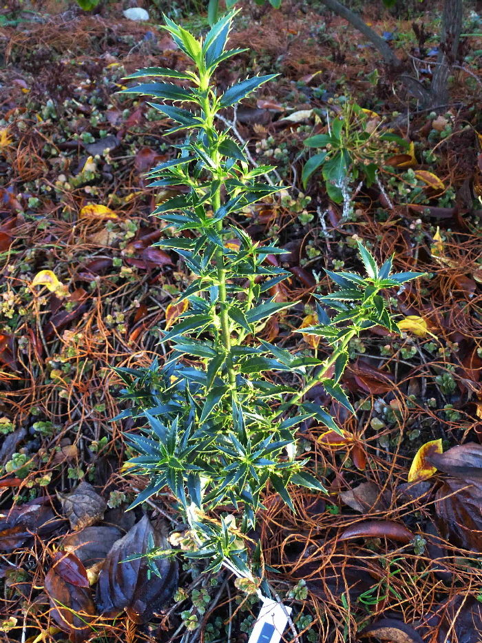 P1050694