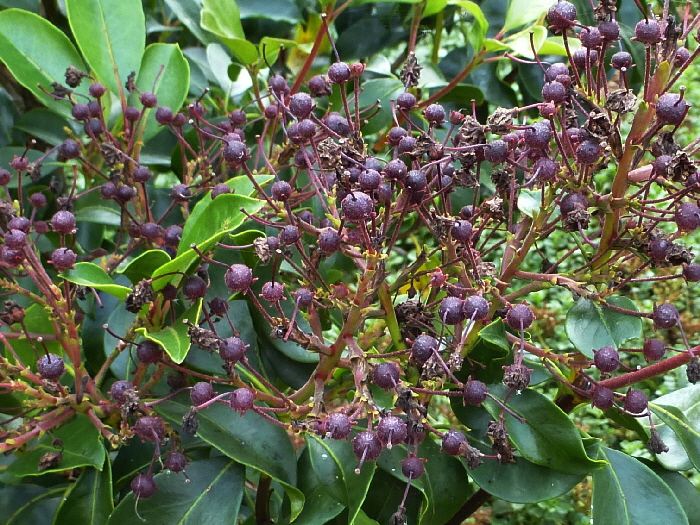 P1060002
