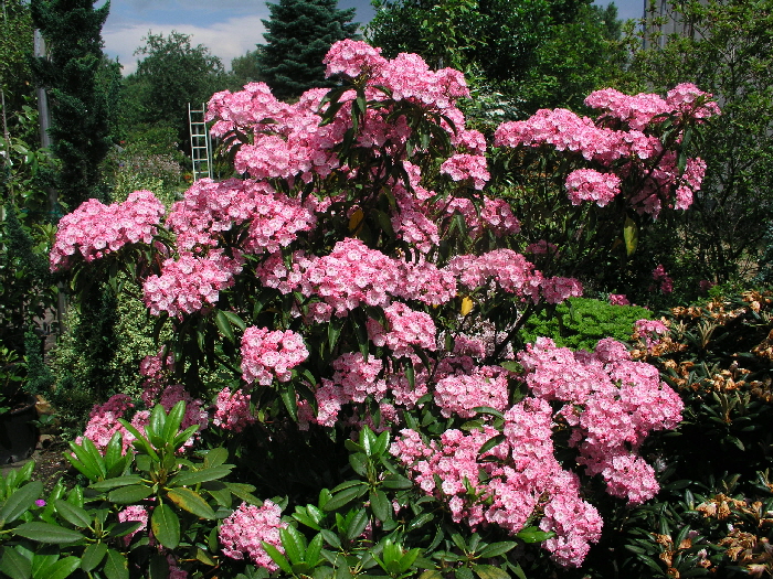 P1010497