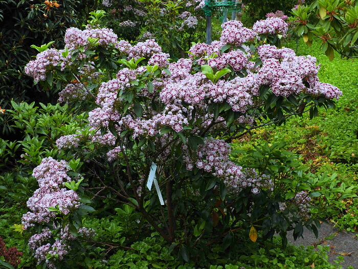 P6120027