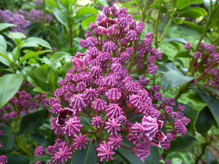 P1040143