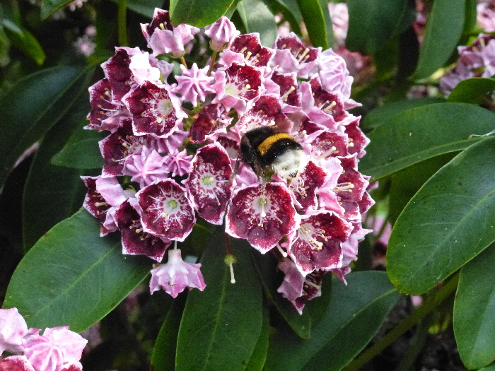 P1050413