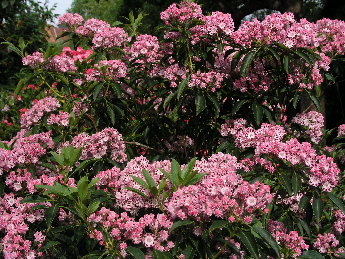 P6130819