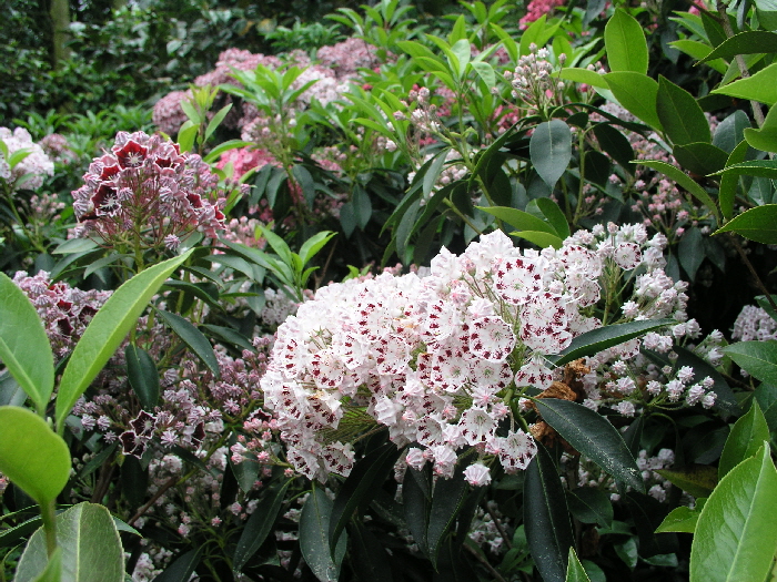 P6050294