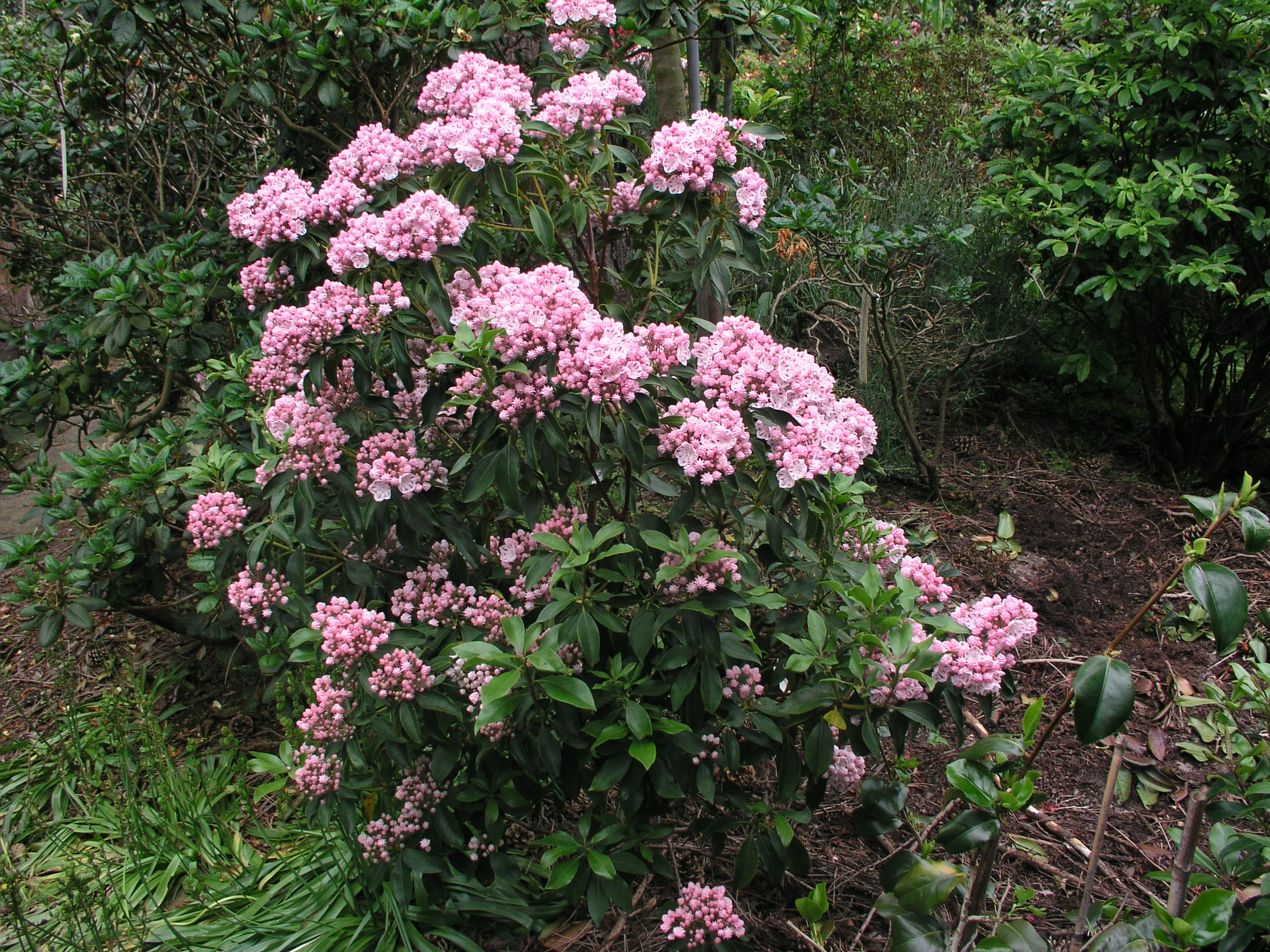 P6080066