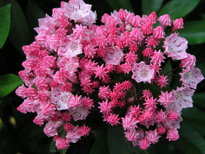 P6230624