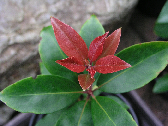 P9210034