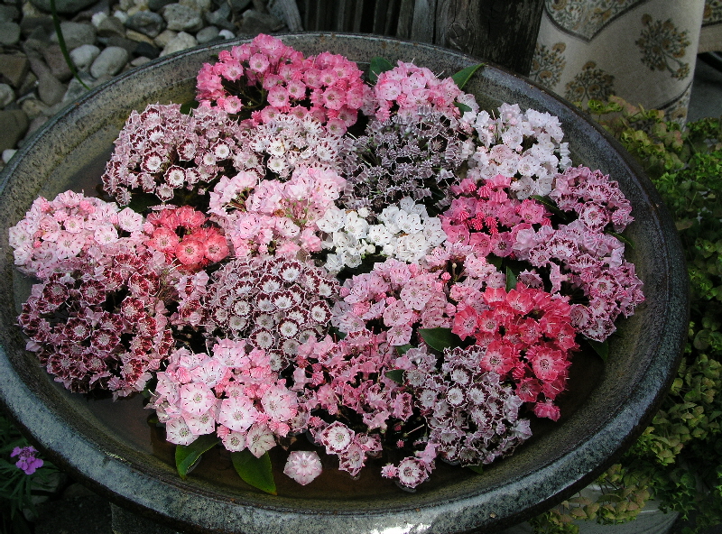 P6020001