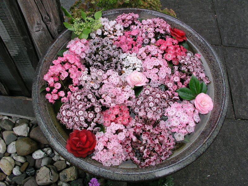 P6030012