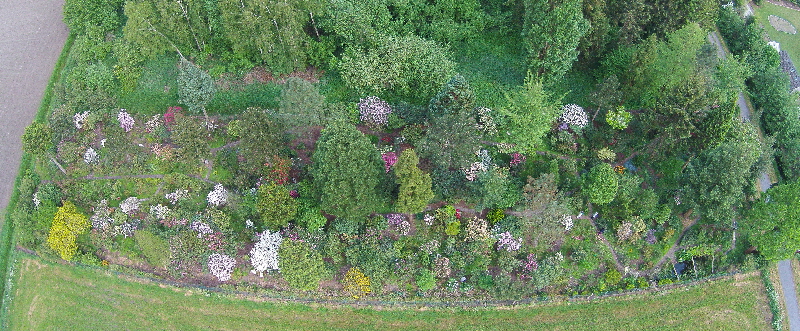 Dr.Hübbers äußerer Garten Ausschnitt klein Dr.Hübbers äußerer Garten Ausschnitt klein