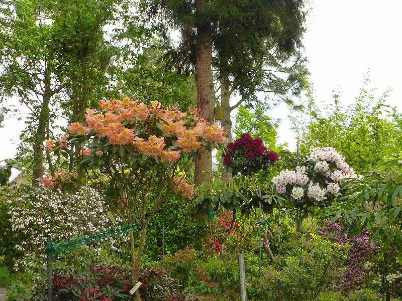 P1050113