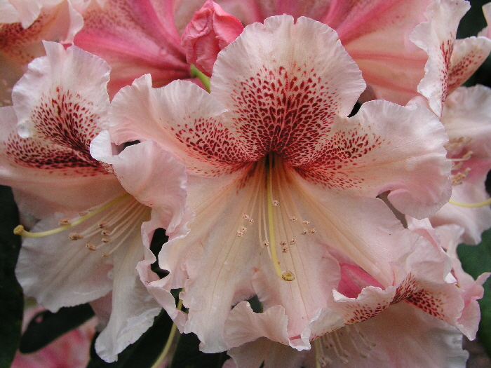 P5262040
