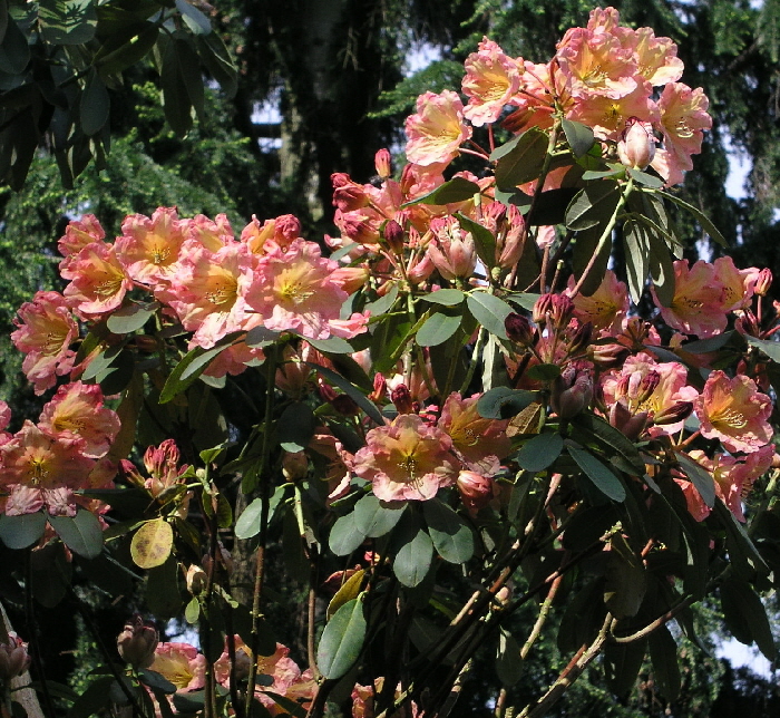 P5050063