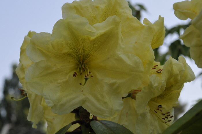 DSC_4724 DSC_4724