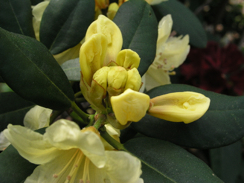 P5241028