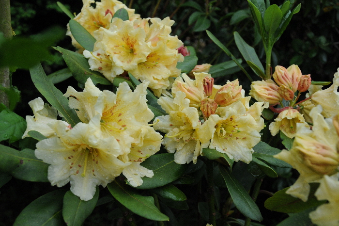 DSC_2150 DSC_2150