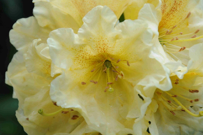 DSC_2486 DSC_2486