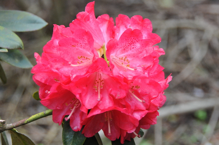 DSC_3476.JPG A