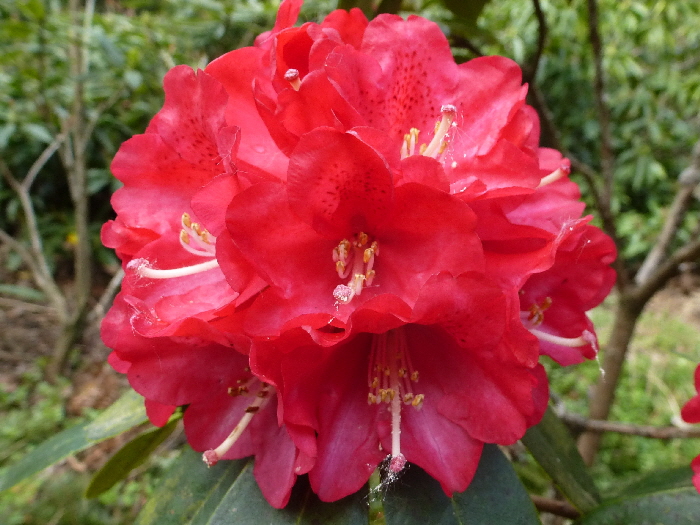 P1020881