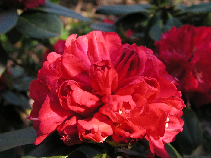 P5010953