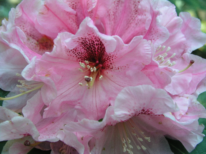 P6260868
