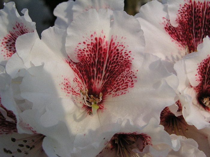 P5010277