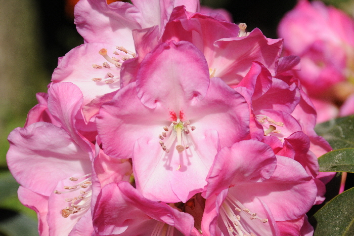 DSC_0623 DSC_0623