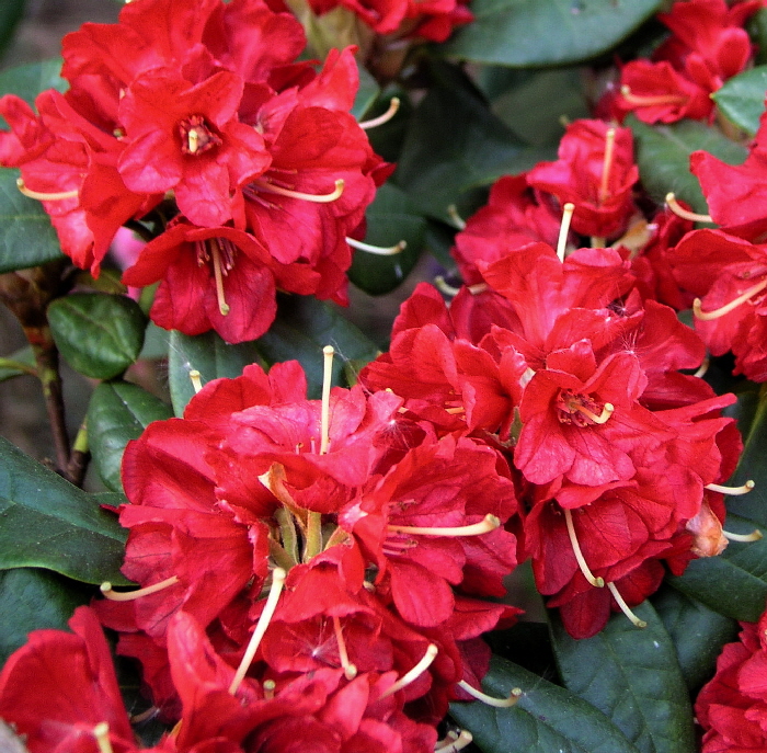 P5030230