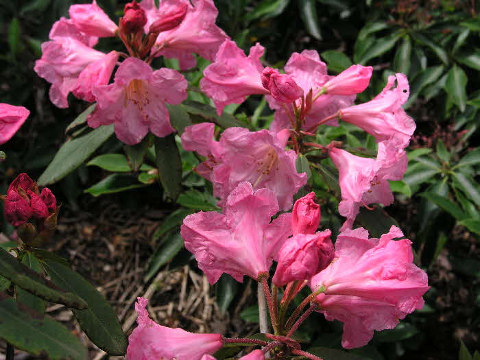 P6130208