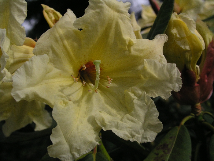 P6130783