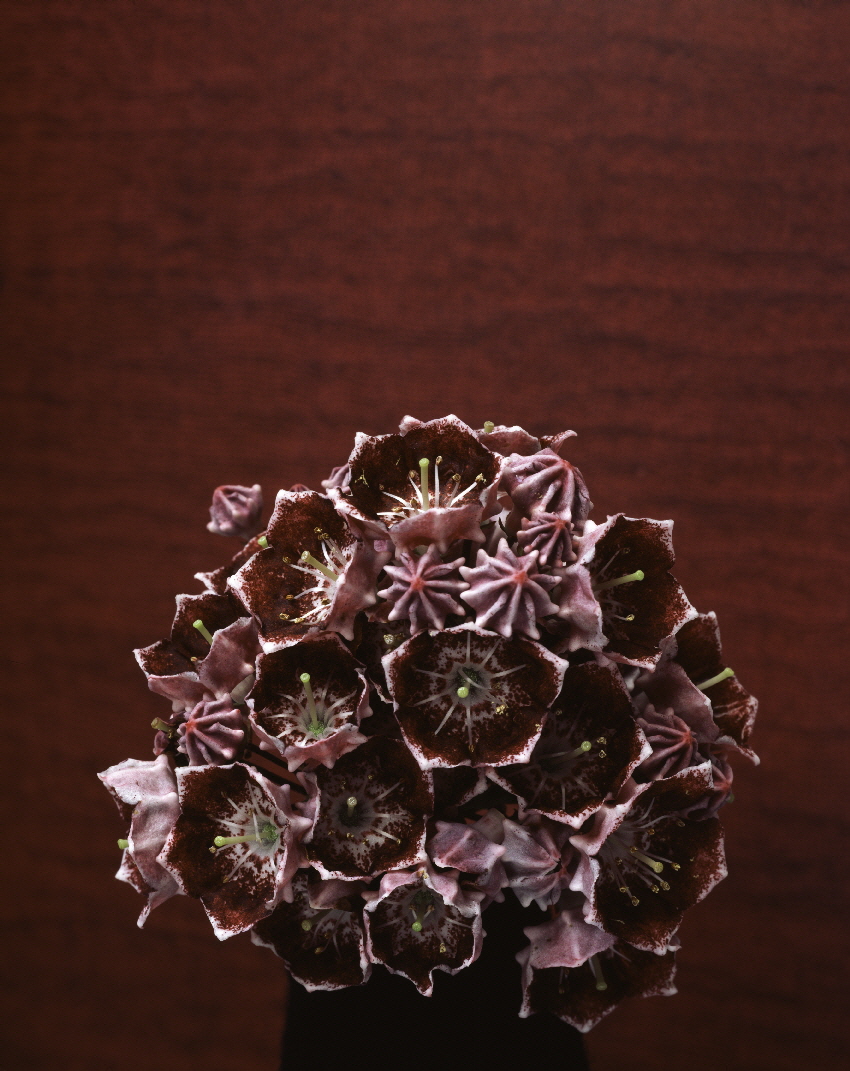 Dia_4x5_Inch